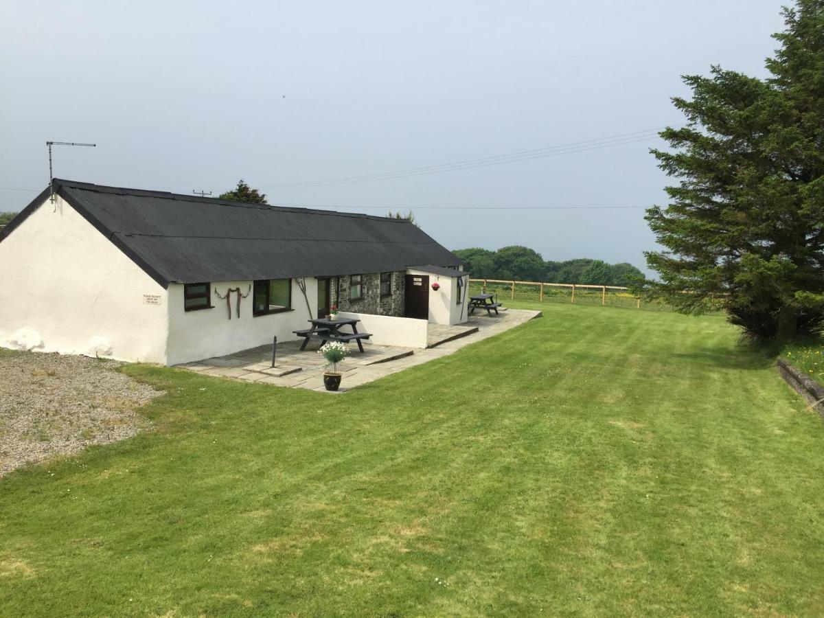 Byre Cottages & Log Cabin Cardigan Ngoại thất bức ảnh